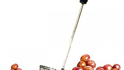 도토리줍는기계 추천: 한 번 쓰면 계속 찾게 되는 제품