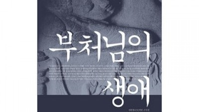 부처님의생애 추천: 평생 써도 후회 없는 고퀄리티 제품