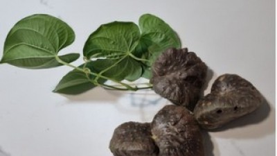 국내산하늘마 내돈내산 솔직 사용후기