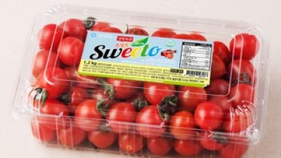 초코단마토 실용적이면서 세련된 제품 추천