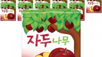 자두나무 내돈내산 리얼 사용 후기 & 팁