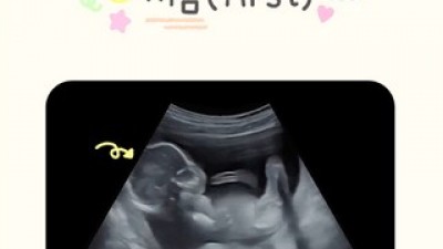 콩알송돌영상제작 추천 제품 BEST10 구매 가격 가이드