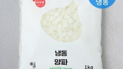 냉동다이스양파 추천 제품 구매 가격 가이드