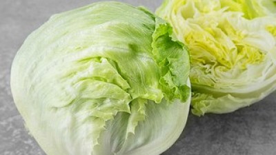 제주양상추 추천 인기 제품 쇼핑 필수 정보