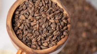 봉평쓴메밀잡곡 추천: 지금 놓치면 후회할 핫딜 정보