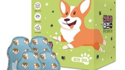 염화칼슘강아지신발 가이드 정보 공유