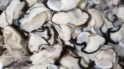 이순신수산굴 추천: 최저가로 득템할 수 있는 제품