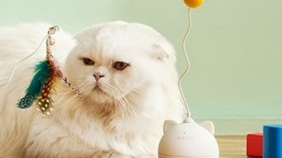 냥냥토이볼 추천 가격 및 비교 정리