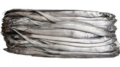 제주갈치피싱 쇼핑 정보 공유