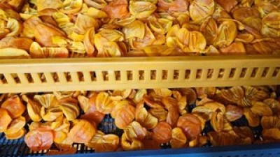 감말랭이700g 쇼핑 꿀팁 가이드