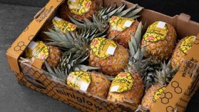 허니글로우파인애플개당1.3kg내외2수 추천 TOP10 쇼핑 정보 정리