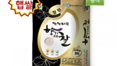 철원찹쌀10kg 추천: 인기 제품의 숨은 장점 파헤치기