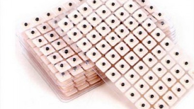 붓기혈자리 올해 화제의 아이템