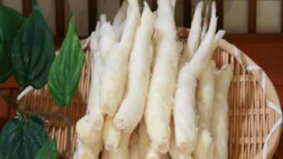 영월더덕 최저가로 만나볼 수 있는 혜택