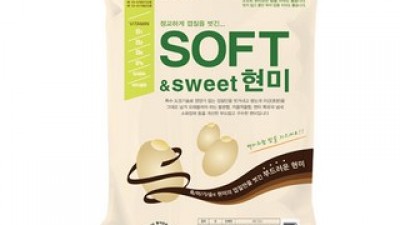 나노현미쌀 올해 화제의 아이템