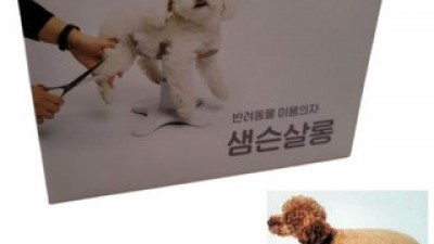 애완견미용의자 추천: 고민 없이 바로 사도 되는 베스트 아이템