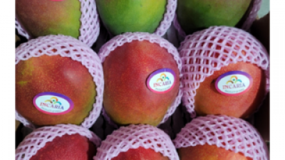 재주문망고 만족스러운 상품 소개