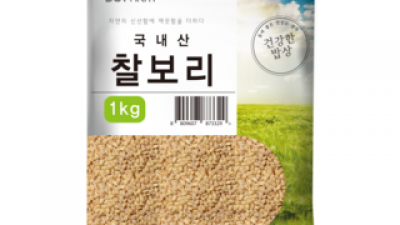 보리종류 추천: 신상템 vs 스테디셀러 비교 분석