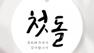 돌잔치포장택 추천 제품 구매 가격 가이드