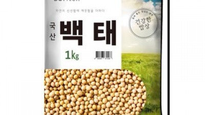 백태가격 종류 및 추천-리뷰 스펙 가격 비교