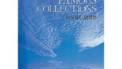 바이올린은선 실용성과 가성비를 모두 갖춘 제품 추천