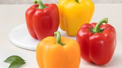 파프리카시세 추천: 소비자가 인정한 가성비 최강템