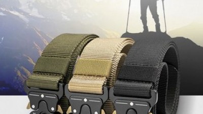 불테리어벨트 추천: 최저가로 득템할 수 있는 제품
