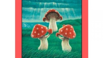 언유주얼 TOP10 실용적이면서 세련된 제품 추천