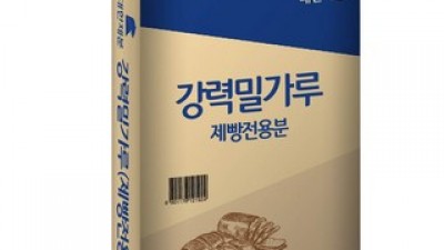 강력밀가루20kg 추천 TOP10 내돈내산 구매 아이템