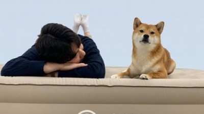 에어매트자충매트 추천 고객 구매율 1위 제품들