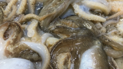 홍원항생물쭈꾸미판매 추천 고객 구매율 1위 제품들