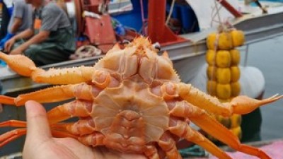 붉은대게3kg 추천 TOP10 만족스러운 상품 소개