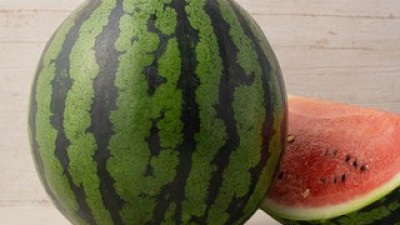 시원한과일 가이드 정보 공유