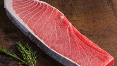 참치대뱃살 추천 제품 구매 가격 가이드