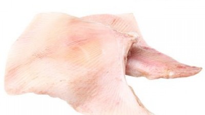 생가오리 최고의 가치를 제공하는 상품