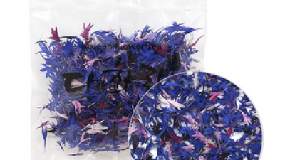 말린수레국화 가이드 정보 공유