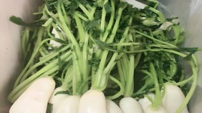 절임총각김치 특별한 순간을 위한 아이템