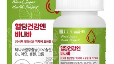 더스파이크12 올해 화제의 아이템