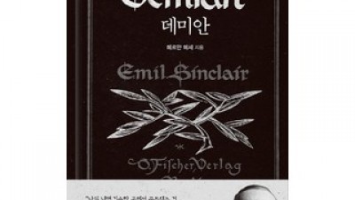 데미안자화상 추천 TOP10 고객 구매율 1위 제품들
