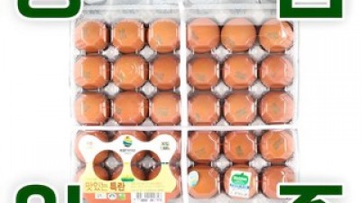 친환경달걀30구 특별한 순간을 위한 아이템