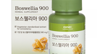 보스웰리아2bo 가이드 정보 공유