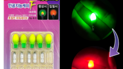 바코인공지능케미 추천 내돈내산 구매 아이템