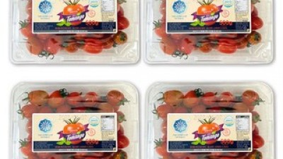 빠른배송스테비아방울토마토 추천 이유 및 사용 후기 상세 정리