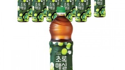 웅진매실 추천 제품 구매 가격 가이드