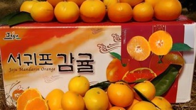 서귀포귤5kg 종류 및 추천-리뷰 스펙 가격 비교
