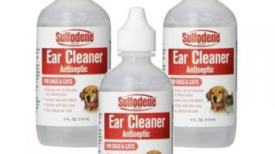 설포덴이어클리너 추천: 최저가 핫딜 정보 & 혜택 정리