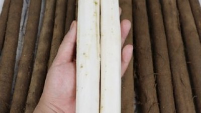 우엉알뜰5kg 추천 내돈내산 구매 아이템