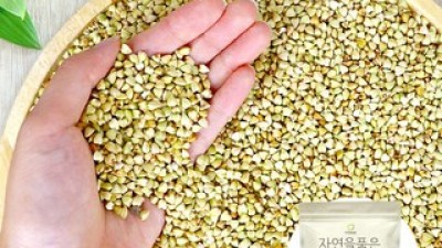 메밀도정 TOP10 실용적이면서 세련된 제품 추천