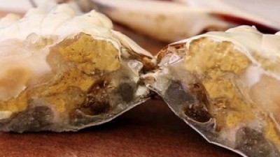 ns홈쇼핑꽃게 최저가로 만나볼 수 있는 혜택