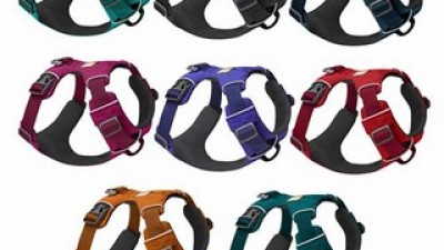 러프웨어플로트 가성비 최고 아이템 가격 비교 정리